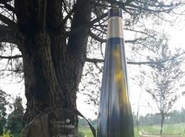 El mejor vino blanco del 2017 es el albariño Pazo Baión