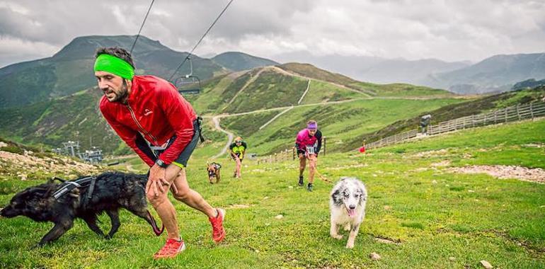 El Trofeo Valgrande-Pajares "Les Montañes Canicross" vence al clima