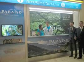 El aeropuerto de Asturias estrena punto de información turística