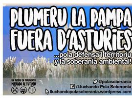 Campaña Plumeru La Pampa fuera dAsturies
