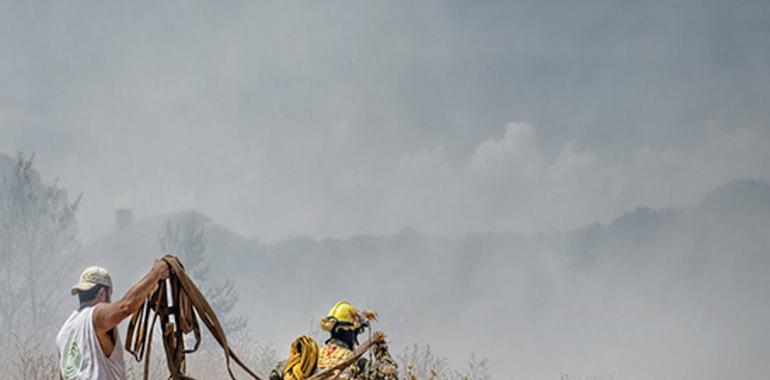 UPA asegura que, con menos agricultores y ganaderos, los incendios son más graves
