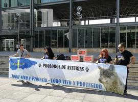 Entrega de 30.000 firmas contra las matanzas de lobos en Asturias