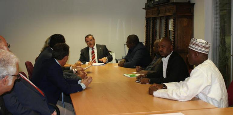 El ministro de Energía nigeriano visita Asturias