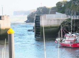FORO denuncia pesquerías de barcos cántabros en aguas de Asturias