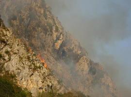 Coordinadora Ecoloxista: "Asturias entera a oscuras por los incendios forestales intencionados"