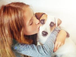 Los perros gestualizan para comunicar con los humanos