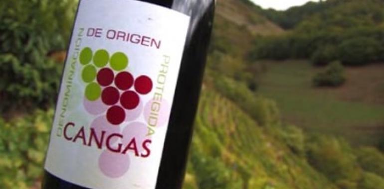 FORO pide toda la ayuda pública para el vino de Cangas del Narcea