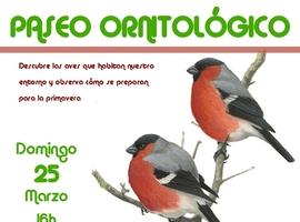 Paseo ornitológico el domingo por el parque Pura Tomás de Oviedo