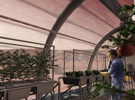 El CSIC desvela los efectos de la gravedad de Marte en el crecimiento de las plantas