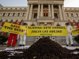 Greenpeace arroja 20 kilos de abejas muertas frente al Ministerio de Agricultura