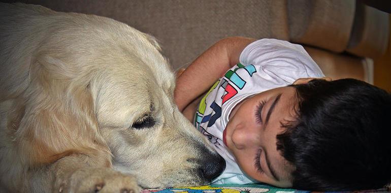 Caja Rural de Asturias y Entrecanes crean talleres asistidos con perros para personas con discapacidad