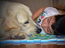 Caja Rural de Asturias y Entrecanes crean talleres asistidos con perros para personas con discapacidad