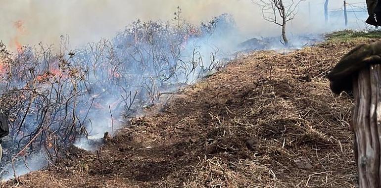 Asturias retorna a fase de alerta en la lucha contra los incendios forestales