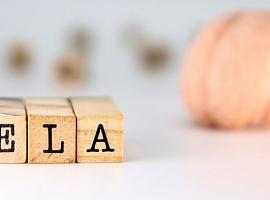 Asturias amplía su apoyo a los enfermos de ELA con una nueva ayuda de 650.000 euros para los casos más recientes y los de mayor dependencia