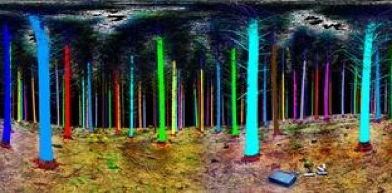Los árboles ‘hablan’ con los satélites para mejorar las cosechas forestales