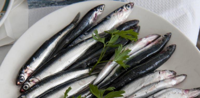 La sobreexplotación generalizada pone en peligro los stocks pesqueros en la UE