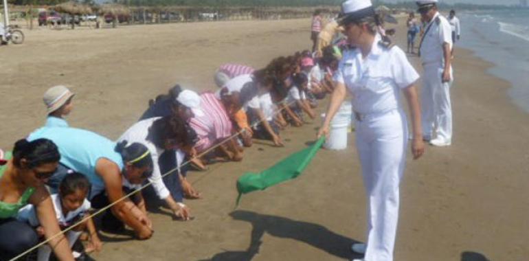La Marina libera tortugas en Veracruz