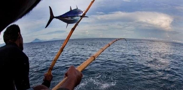 Rechazo de las ONG a la propuesta danesa de Política Pesquera Común