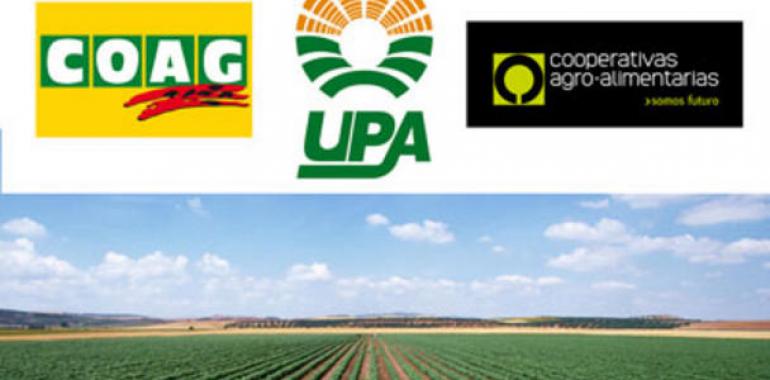 El sector agroalimentario español rechaza la subida del IVA en sus producciones