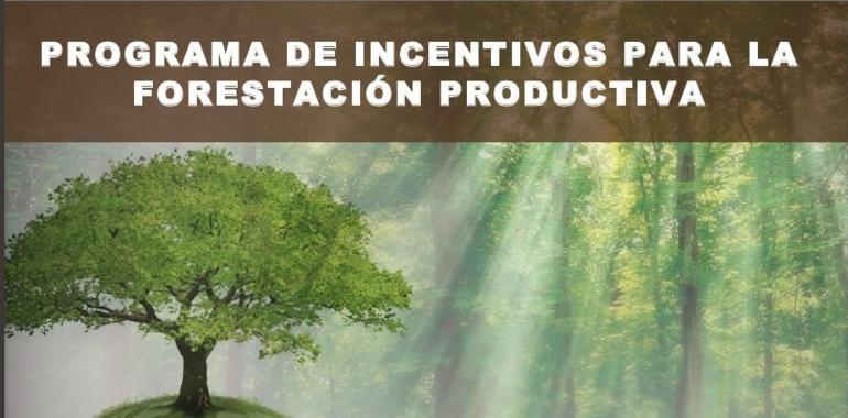 Ecuador se convertirá en una potencia comercial en el área forestal