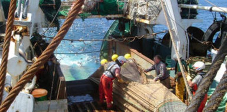 La pesca de arrastre modifica el relieve de los fondos marinos