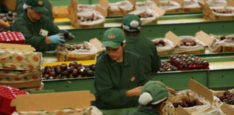 CEPAL prevé reducción de desempleo en América Latina en 2011 