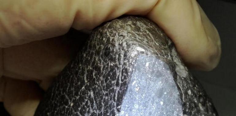 Describen el primer meteorito procedente de la corteza de Marte
