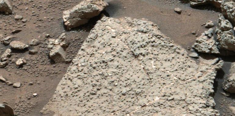 Curiosity encuentra elementos que pudieron sustentar la vida en Marte