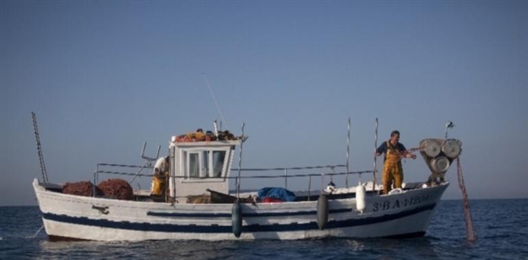 Voluntarios de Greenpeace recogen firmas en Gijón y Avilés a favor de la pesca sostenible 