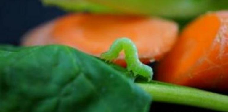 Frutas y verduras del supermercado: ¡aún están vivas! 