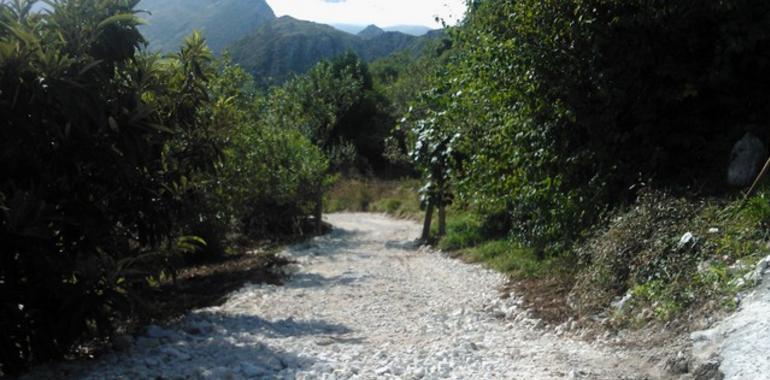 Deuncian apertura de pista forestal en zona prohibida en la Reserva de Cueva Rosa