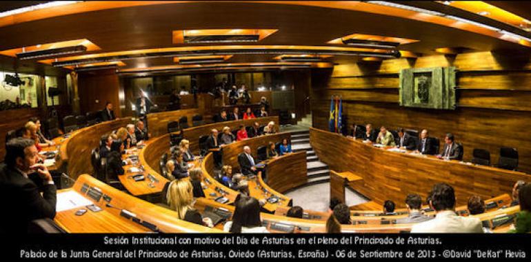 El parlamento asturiano defienda la continuidad de los consejos de la Juventud de España y Asturias