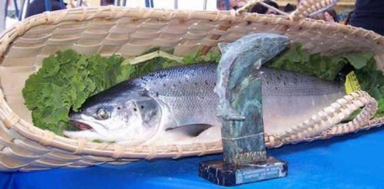 Asturias eleva a cuatro el cupo de salmones por pescador y temporada