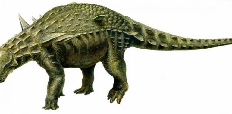  El dinosaurio acorazado más completo de Europa es 