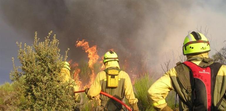 Ministerio y CCAA coordinarán sus medios para la extinción de incendios 