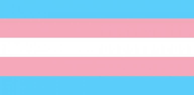 Personas transgénero sufren discriminación y trato inhumano y degradante en países europeos