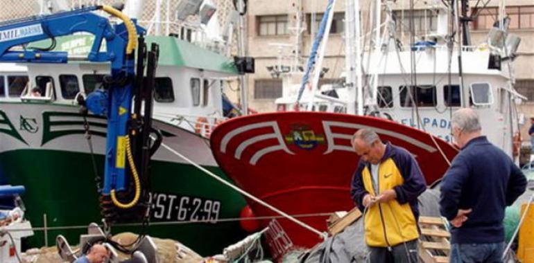 La renta del sector pesquero aumentó un 4,46% en 2012 hasta un total de 805,1 millones de euros