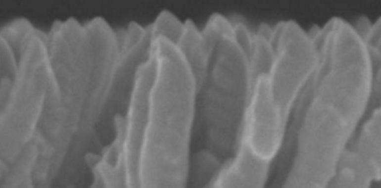 Nuevas nanoestructuras de titanio para implantes óseos que son antibacterianos