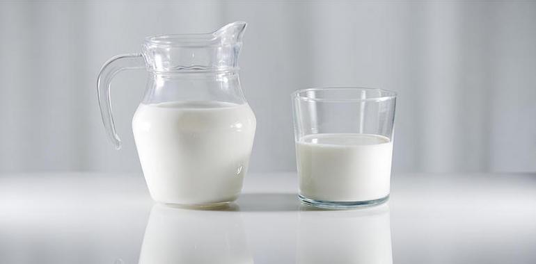 Los europeos adultos pueden digerir leche desde hace 4.000 años