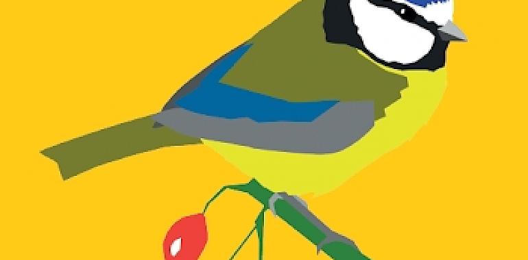 Correos te ayuda a volar con las aves en el Camino de Santiago: guía gratuita para peregrinos