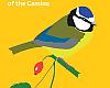 Correos te ayuda a volar con las aves en el Camino de Santiago: guía gratuita para peregrinos