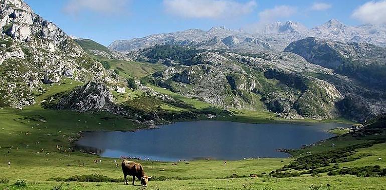 248.000 euros para impulsar el desarrollo sostenible en los Picos de Europa