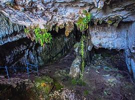La Cueva de El Pindal reabre sus puertas: El Gobierno del Principado garantiza la seguridad de las visitas con nuevas medidas