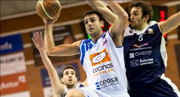 FOTOGALERÍA. Baloncesto. Adecco Oro. UF Oviedo Balonc. - Cocinas.com