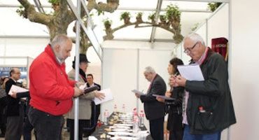 Concurso de la mejor Anchoa de la feria de Santoña. IV edición, 2017