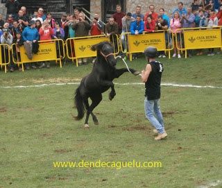 Fiesta del Asturcón, en la majada de Espineres. XXXVII edición.