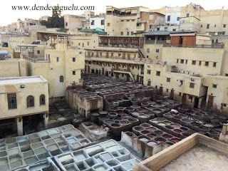 El oficio de curtidor en Fez (Marruecos).