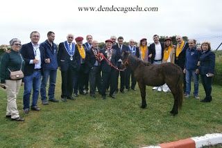 Cabildo de la Cofradía de la Anchoa de Cantabria. XXII edición.