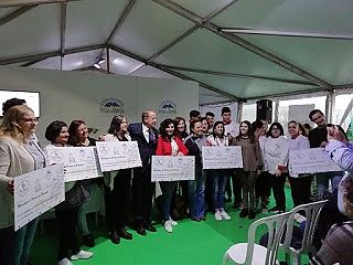 Concurso gastronómico 