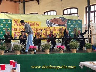 Concurso regional de fabes y fabada para no profesionales. XIV edición, Villaviciosa, 2019. 